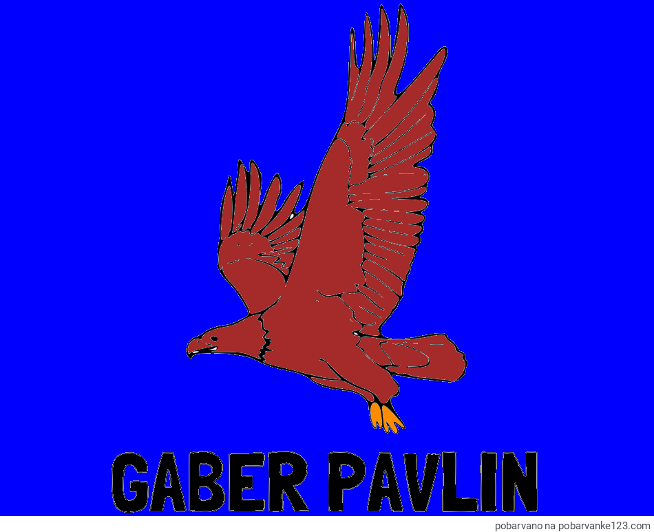 POBARVANA POBARVANKA - Pobarvanka imena GABER PAVLIN in pobarvanka orla v letu