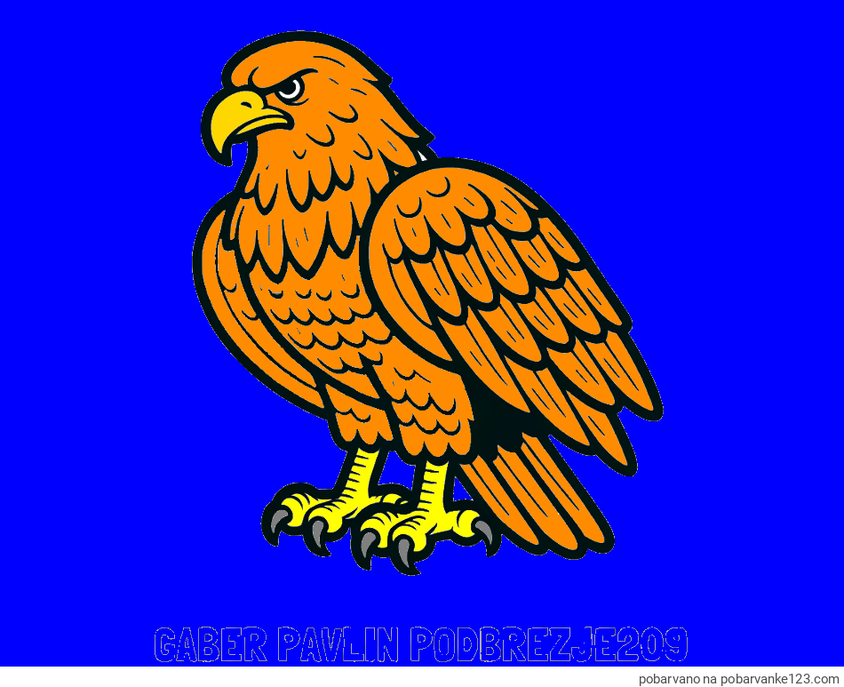 POBARVANA POBARVANKA - Pobarvanka imena GABER PAVLIN PODBREZJE209 in pobarvanka orla