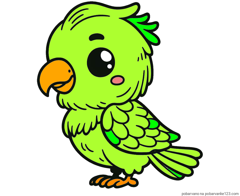 POBARVANA POBARVANKA - Pobarvanka ljubkega papagaja