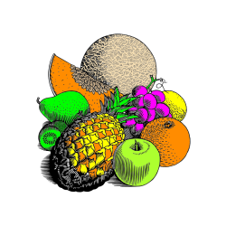 Pobarvana pobarvanka - Pobarvanka sadja (ananas, melona, jabolka, kivi, grozdje, pomaranča...)