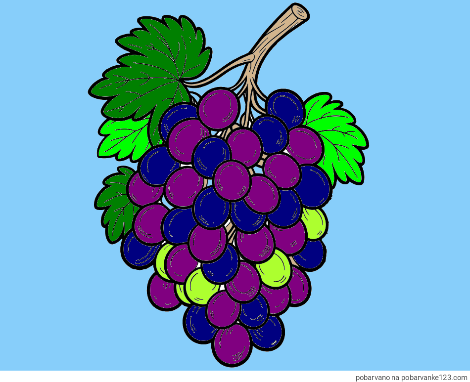 POBARVANA POBARVANKA - Pobarvanka velikega grozdja