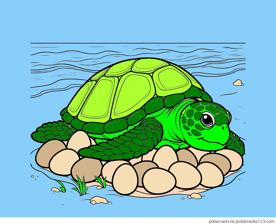 POBARVANA POBARVANKA - Pobarvanka želve na obali