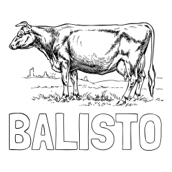 Online izdelana pobarvanka - Pobarvanka imena BALISTO in pobarvanka krave na paši