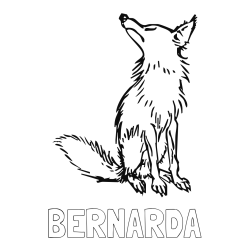 Online izdelana pobarvanka - Pobarvanka imena BERNARDA in pobarvanka stare lisice