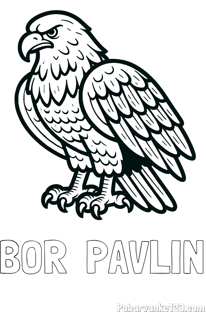 Pobarvanka imena BOR  PAVLIN in pobarvanka orla