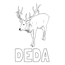 Online izdelana pobarvanka - Pobarvanka imena DEDA in pobarvanka velikega jelena