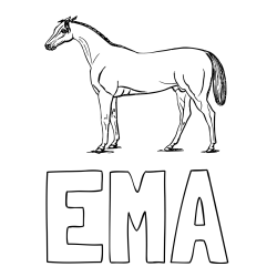 Online izdelana pobarvanka - Pobarvanka imena EMA in pobarvanka konja