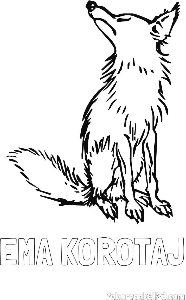 Pobarvanka imena EMA KOROTAJ in pobarvanka stare lisice