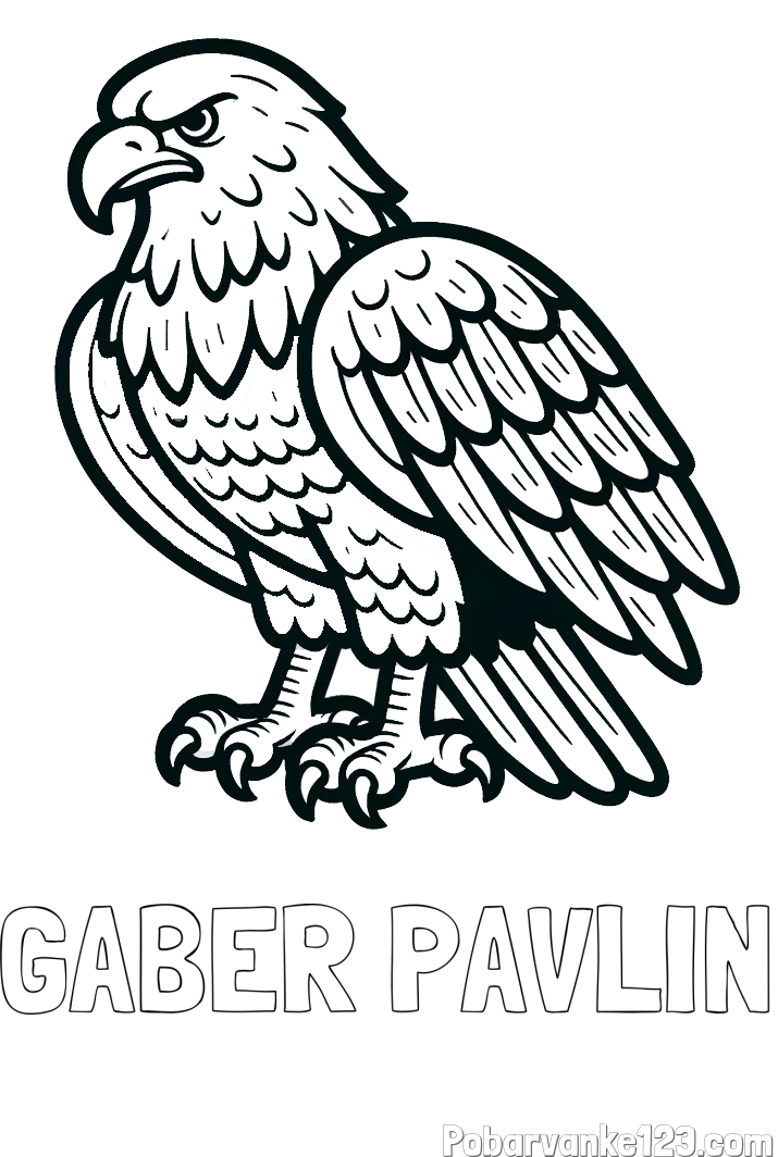 Pobarvanka imena GABER PAVLIN in pobarvanka orla