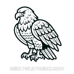 Online izdelana pobarvanka - Pobarvanka imena GABER PAVLIN PODBREZJE209 in pobarvanka orla