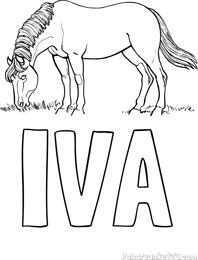 Pobarvanka imena IVA in pobarvanka konja med pašo