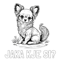 Online izdelana pobarvanka - Pobarvanka imena JAKA KJE SI? in pobarvanka ljubke čivave