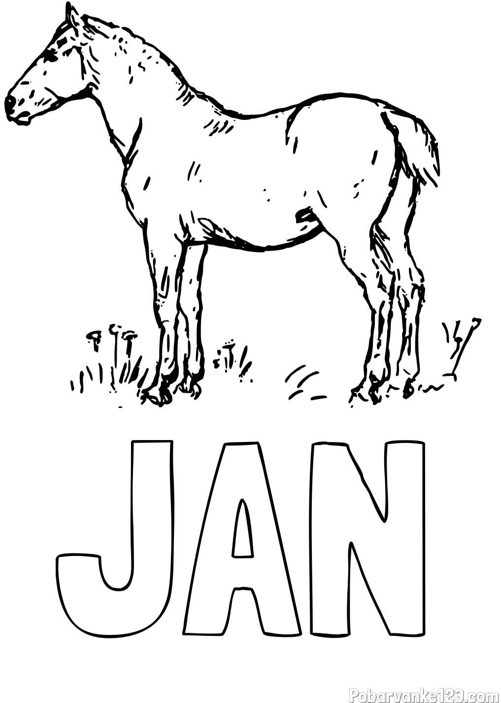 Pobarvanka imena JAN in pobarvanka konja na travi
