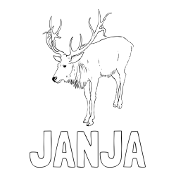 Online izdelana pobarvanka - Pobarvanka imena JANJA in pobarvanka velikega jelena