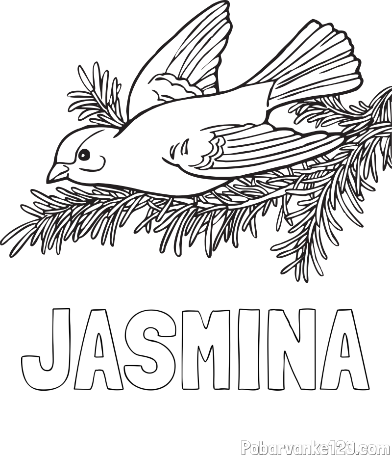 Pobarvanka imena JASMINA in pobarvanka ptice na vejici