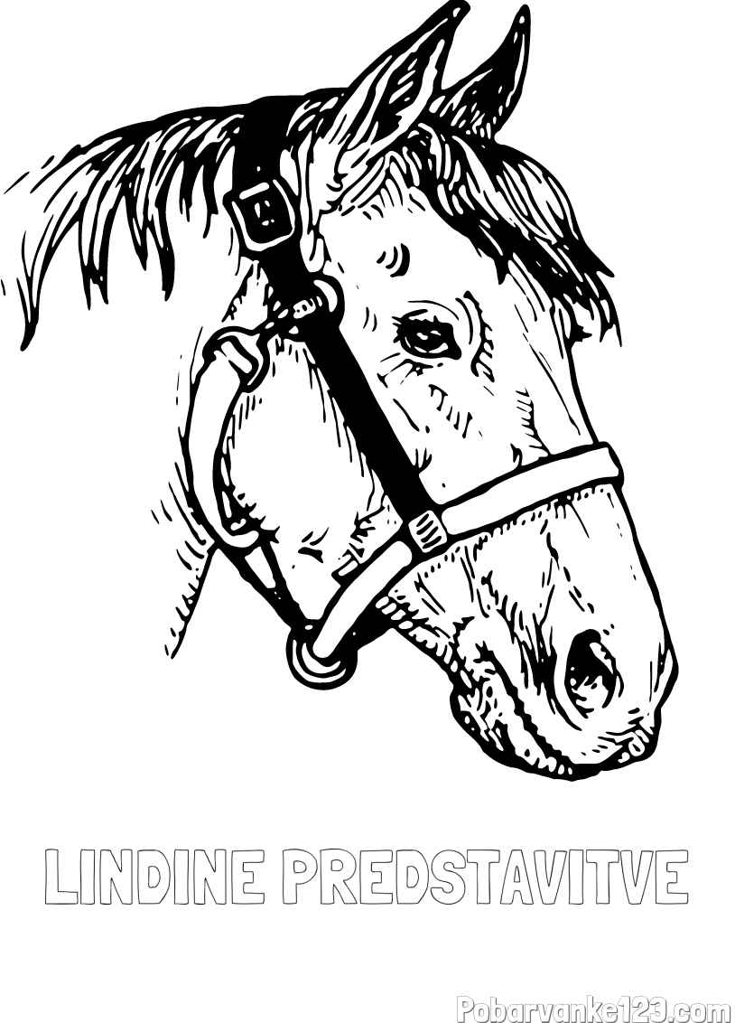 Pobarvanka imena LINDINE PREDSTAVITVE in konjska glava