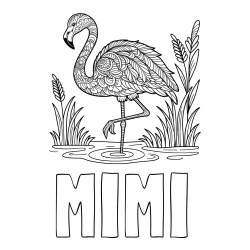 Online izdelana pobarvanka - Pobarvanka imena MIMI in pobarvanka flaminga z abstraktnimi vzorci