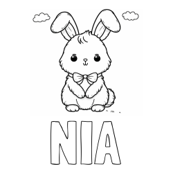 Online izdelana pobarvanka - Pobarvanka imena NIA in pobarvanka prikupnega zajčka