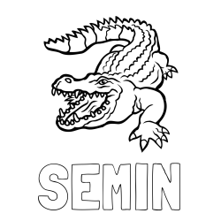 Online izdelana pobarvanka - Pobarvanka imena SEMIN in pobarvanka krokodila