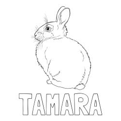 Online izdelana pobarvanka - Pobarvanka imena TAMARA in pobarvanka debelega zajca