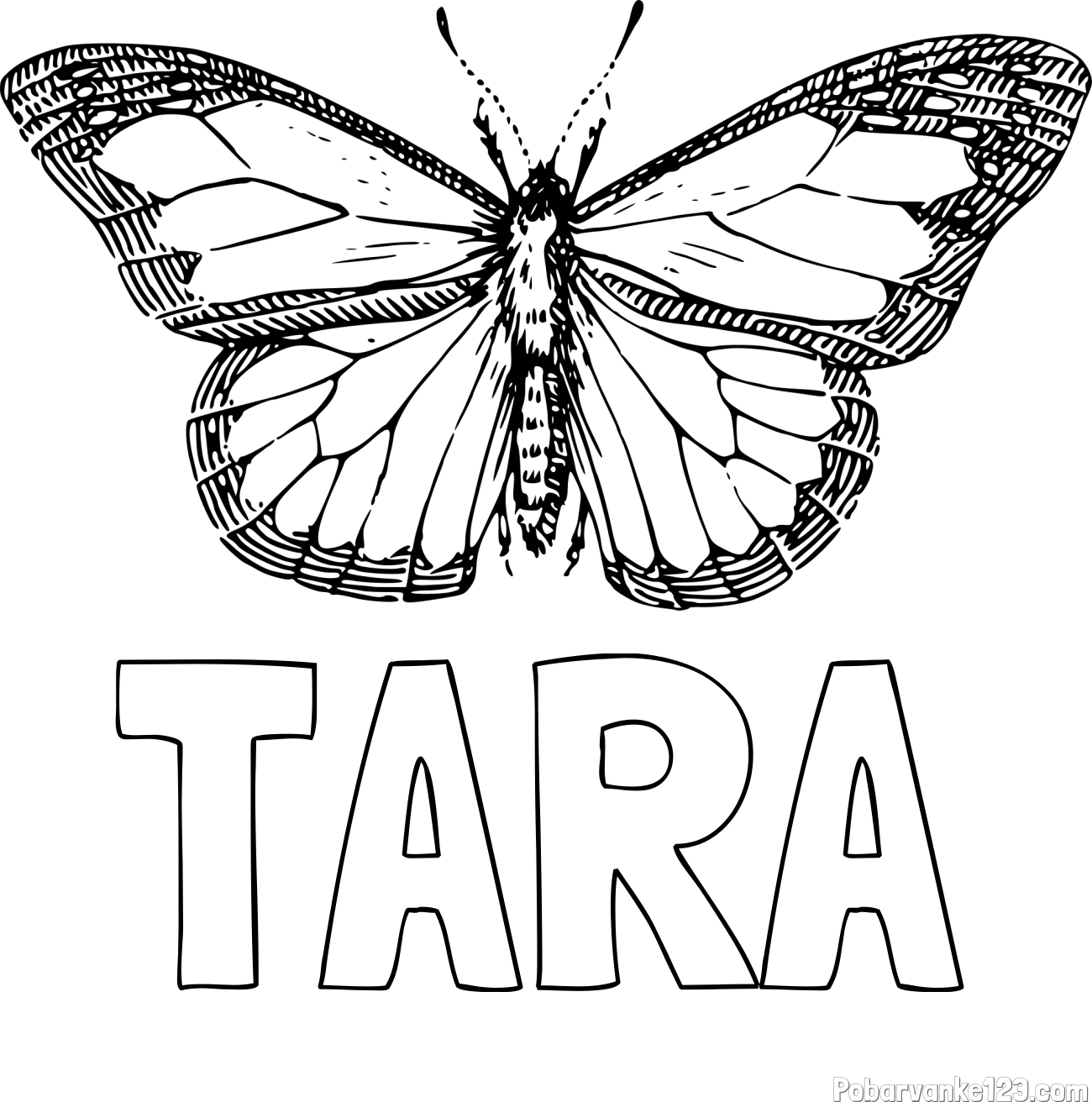 Pobarvanka imena TARA in pobarvanka metulja