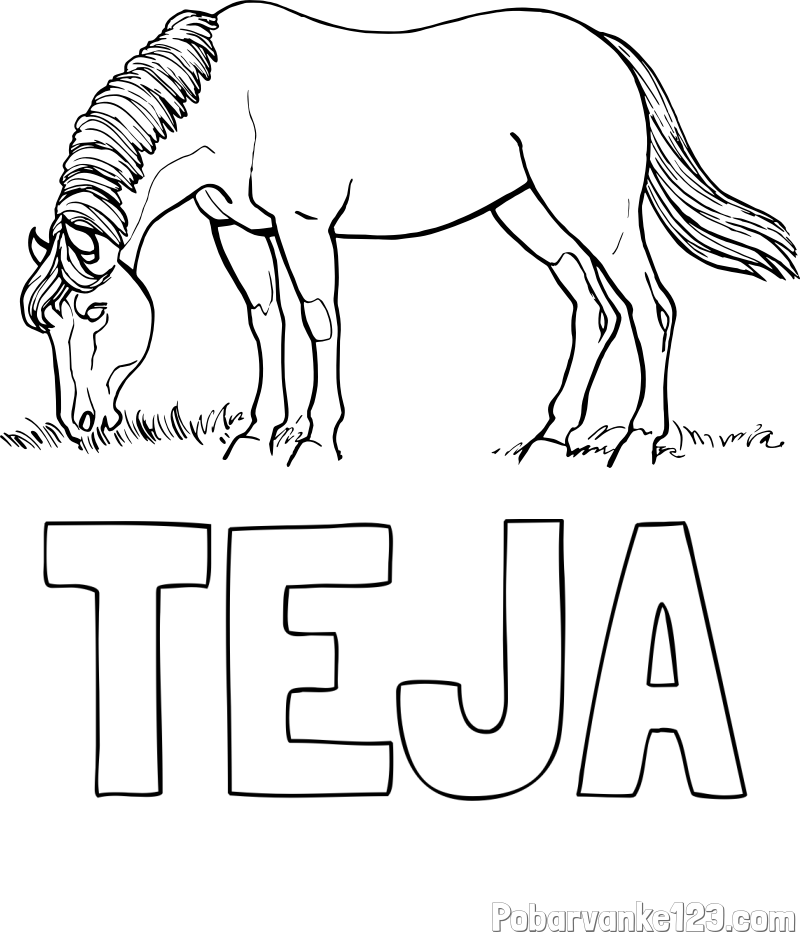 Pobarvanka imena TEJA in pobarvanka konja med pašo