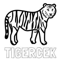 Online izdelana pobarvanka - Pobarvanka imena TIGERČEK in otroška pobarvanka tigra