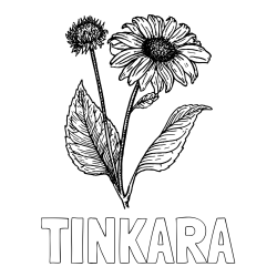 Online izdelana pobarvanka - Pobarvanka imena TINKARA in pobarvanka sončnice