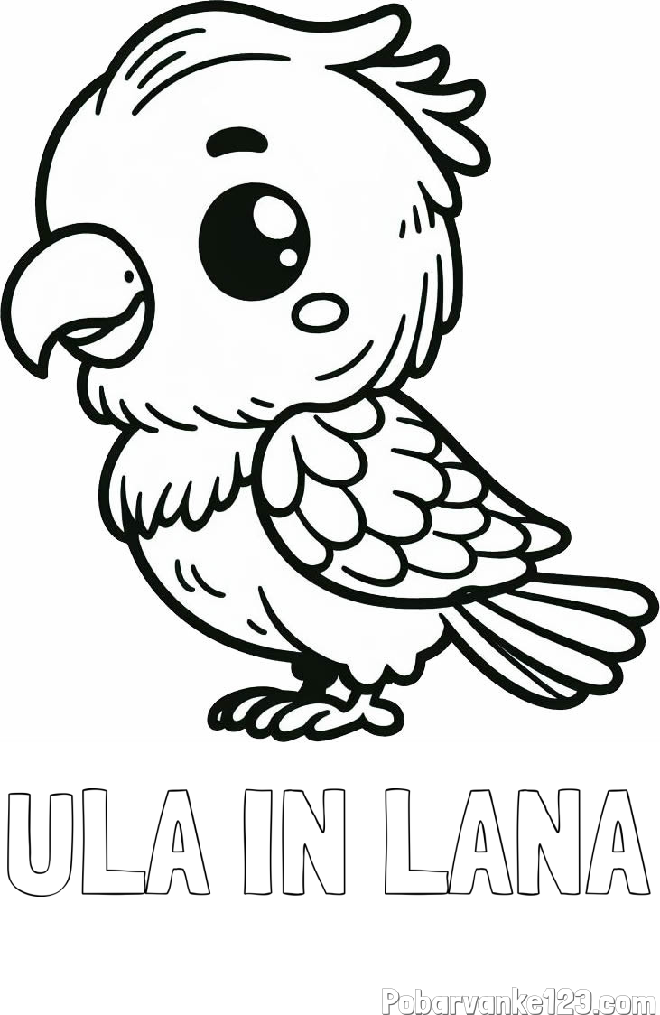 Pobarvanka imena ULA IN LANA in pobarvanka ljubkega papagaja