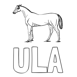 Online izdelana pobarvanka - Pobarvanka imena ULA in pobarvanka konja
