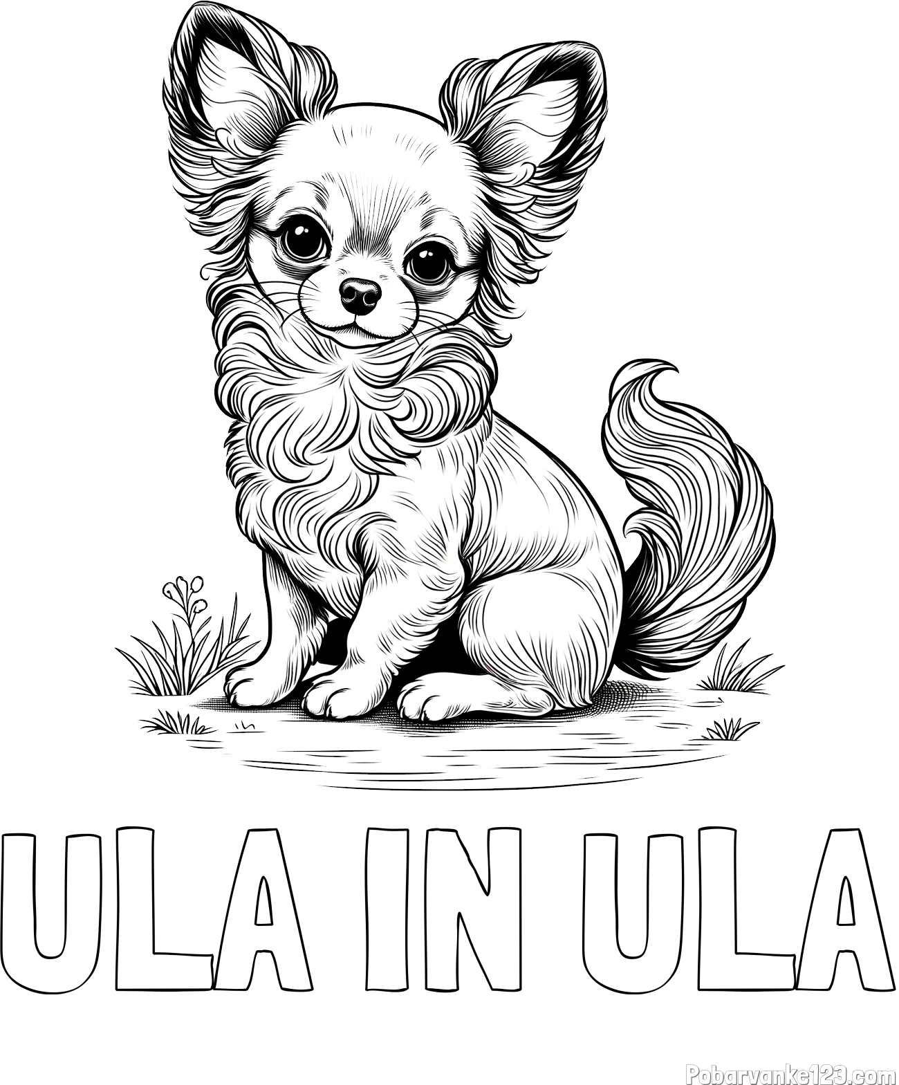 Pobarvanka imena ULA IN ULA in pobarvanka ljubke čivave