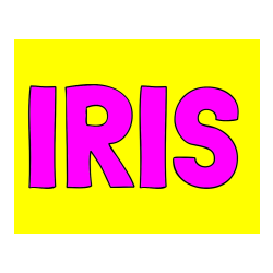 Pobarvana pobarvanka - Pobarvanka imena IRIS