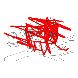 Pobarvana pobarvanka - Pobarvanka kameleona  mandale