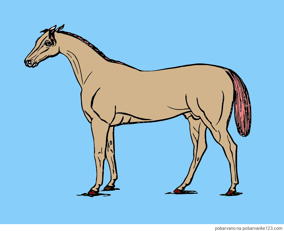 POBARVANA POBARVANKA - Pobarvanka konja