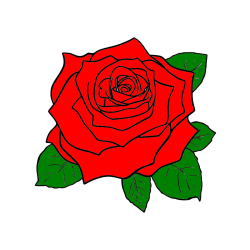 Pobarvana pobarvanka - Pobarvanka vrtnice