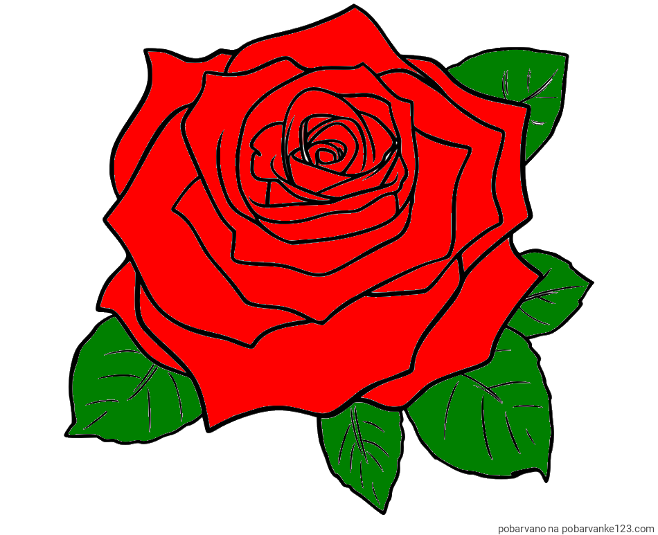 POBARVANA POBARVANKA - Pobarvanka vrtnice