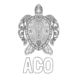Online izdelana pobarvanka - Pobarvanka imena ACO in pobarvanka želve - mandale
