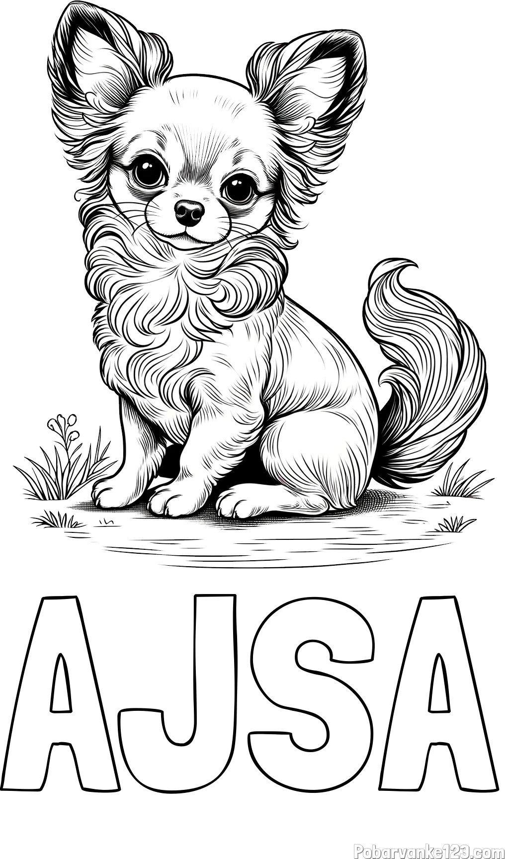 Pobarvanka imena AJŠA in pobarvanka ljubke čivave