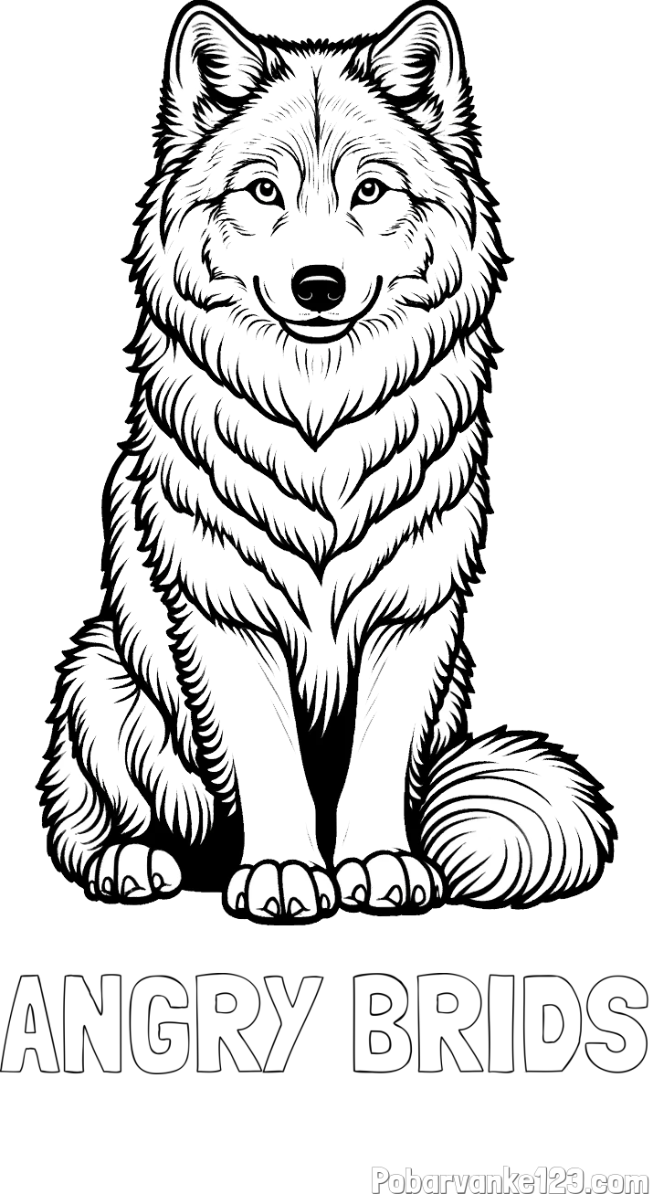 Pobarvanka imena ANGRY BRIDS in pobarvanka prijaznega volka