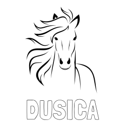 Online izdelana pobarvanka - Pobarvanka imena DUŠICA in lepa pobarvanka konja