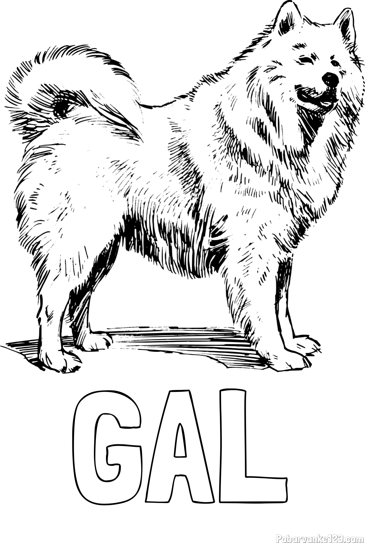 Pobarvanka imena GAL in pobarvanka čudovitega samojega