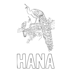 Online izdelana pobarvanka - Pobarvanka imena HANA in pobarvanka pava