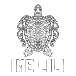Online izdelana pobarvanka - Pobarvanka imena IME LILI in pobarvanka želve - mandale