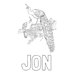 Online izdelana pobarvanka - Pobarvanka imena JON in pobarvanka pava