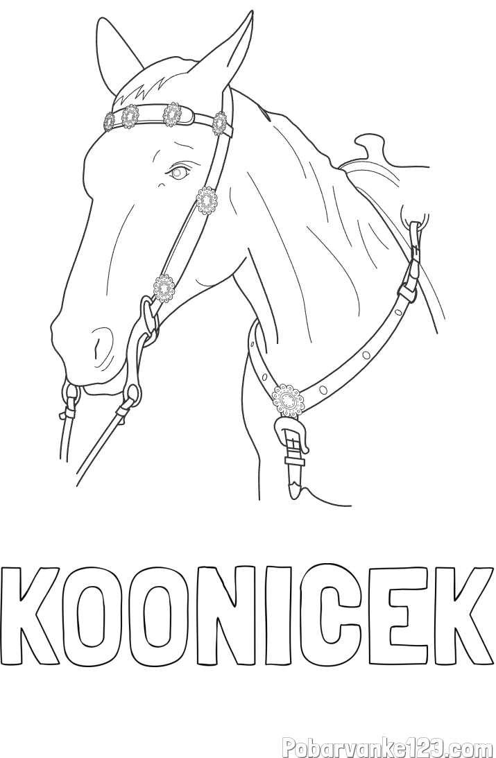 Pobarvanka imena KOONIČEK in pobarvanka konjske glave