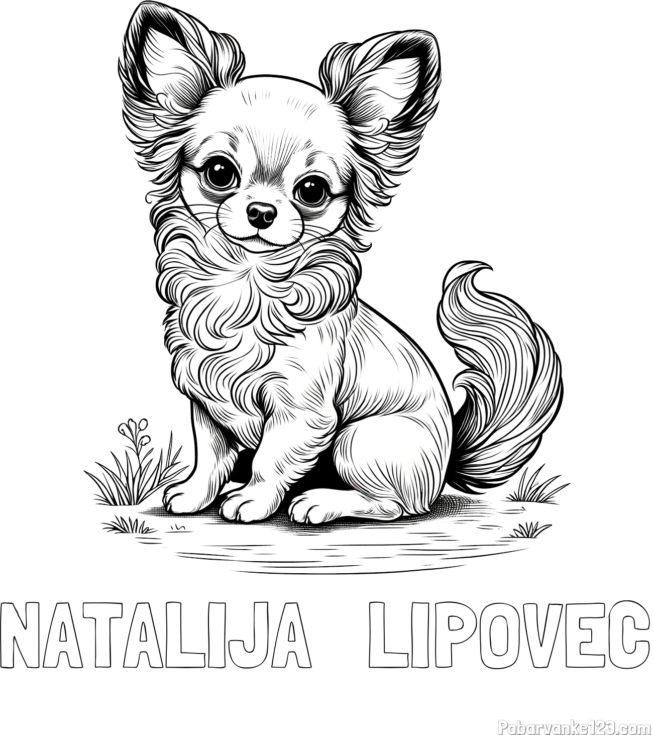 Pobarvanka imena NATALIJA   LIPOVEC in pobarvanka ljubke čivave