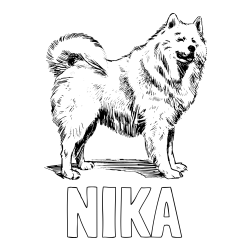 Online izdelana pobarvanka - Pobarvanka imena NIKA in pobarvanka čudovitega samojega