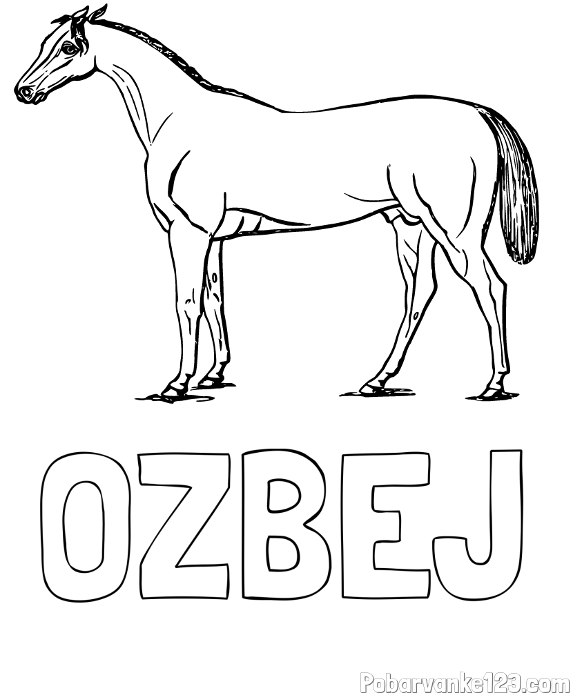 Pobarvanka imena OŽBEJ in pobarvanka konja