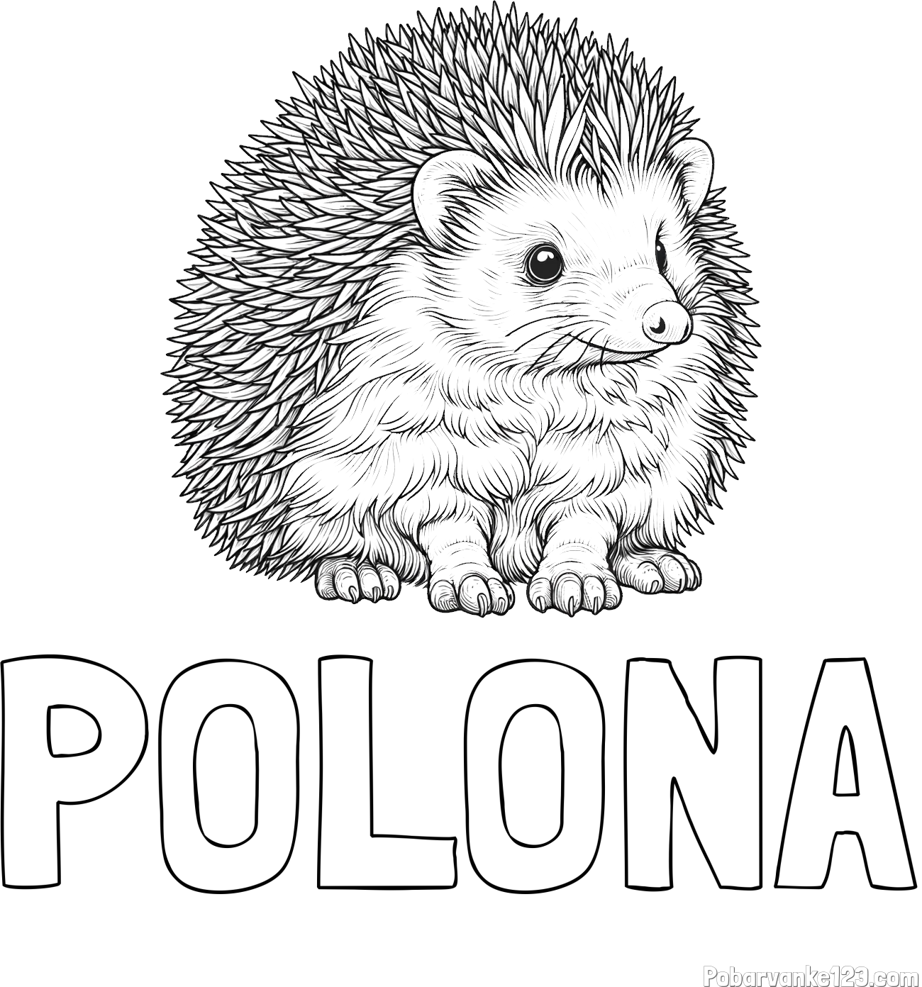 Pobarvanka imena POLONA in pobarvanka nasmejanega ježa
