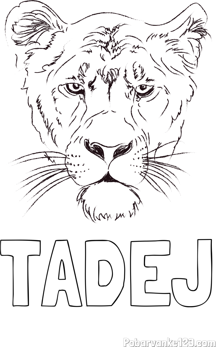 Pobarvanka imena TADEJ in pobarvanka levinje